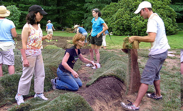 Longwood Gardens living sculpture installation