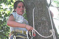 climbing trees