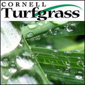 Cornell turfgrass