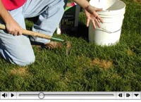Lawn care videos