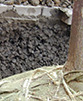 cu soil