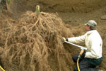 CU Soil excavation