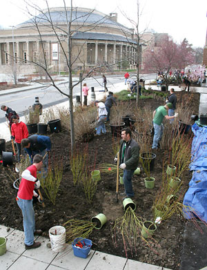 Urban Eden students install planting outside Roberts Hall.
