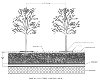 CU-Structural Soil™