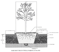 Planting island detail