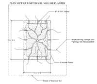 Limited soil volume planter plan view