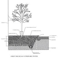 Street tree detail with permeable pavers