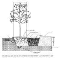 Structural soil breakout zone from narrow tree lawn to front yard