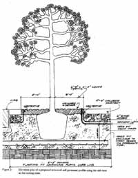 CU-Soil - click for larger image