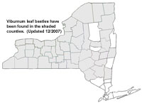 Viburnum leaf beetles have been found in the shaded counties.  Click for larger map.